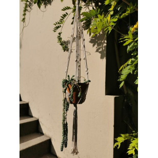 Kit de Macramé Olive - Cord Design - Ovelha Negra